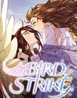 Bird Strike