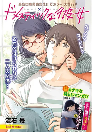 Domestic na Kanojo