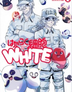 Hataraku Saibou White