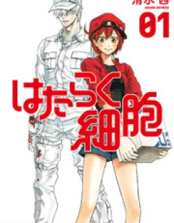 Hataraku Saibou