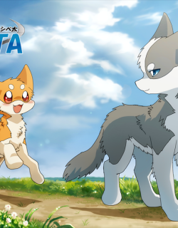 comic-banner